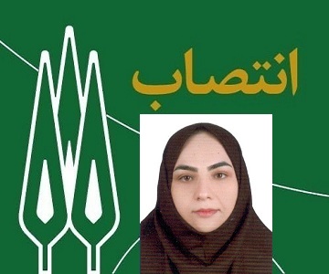 مدیر گروه مطالعات اقتصادی مرکز مطالعات آفریقا منصوب شد