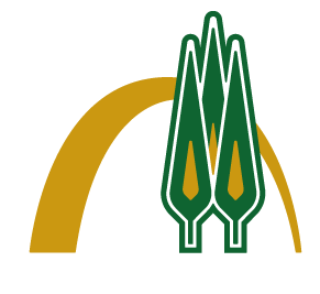 مدیریت برنامه‌ریزی راهبردی و تشکیلات